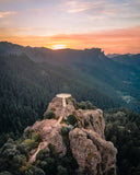 Atardecer en el Bosque