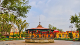 Colores y Tradiciones de la CDMX